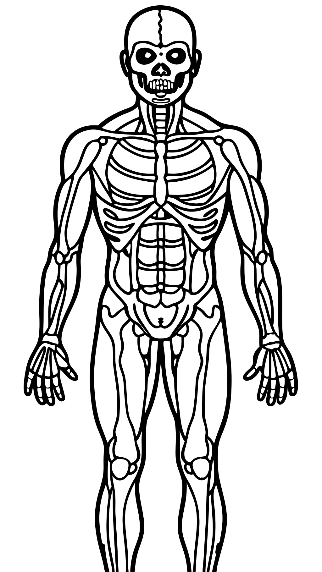 Anatomía y fisiología para colorear